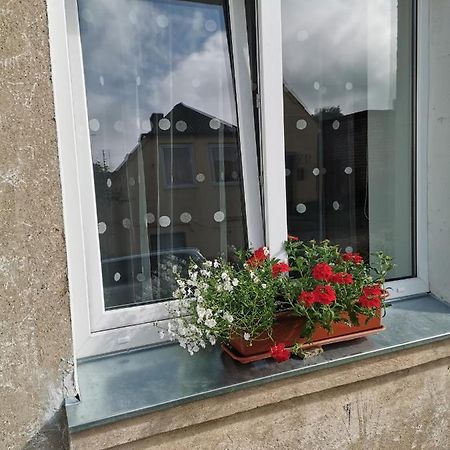 Dzivoklis Vecpilseta Apartment Bauska Bagian luar foto